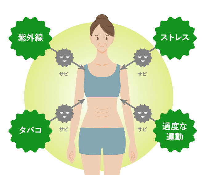 イラスト:紫外線、ストレス、タバコ、過度な運動が身体を酸化させる