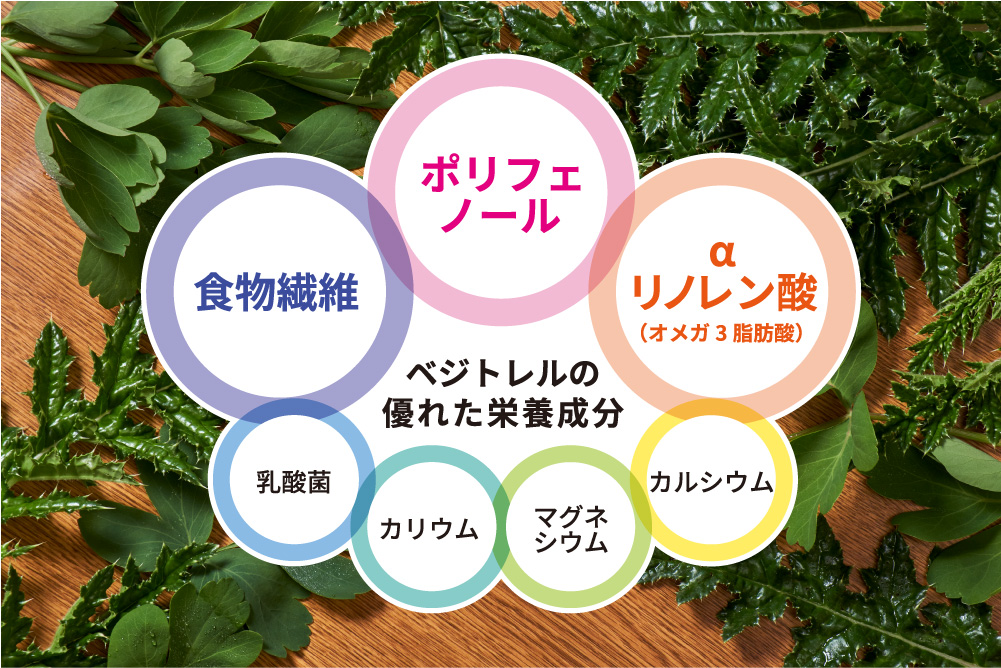 ベジトレルの優れた栄養成分 ポリフェノール 食物繊維 αリノレン酸(オメガ3脂肪酸) 乳酸菌 カリウム マグネシウム カルシウム