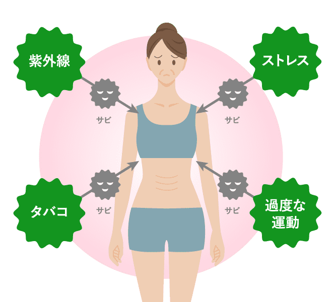 紫外線、ストレス、タバコ、過度な運動によってカラダは酸化する