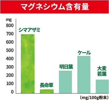 マグネシウム含有量
