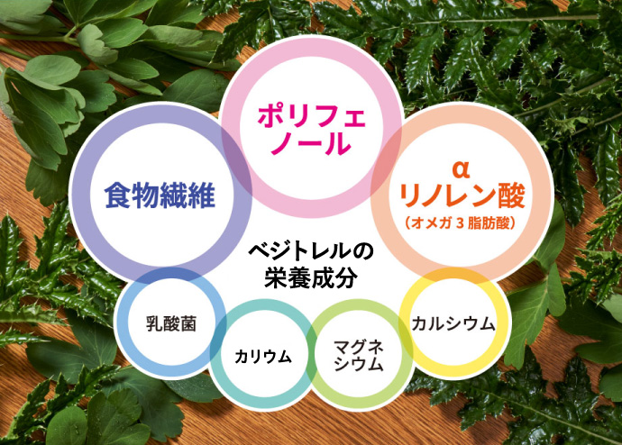 ベジトレルの優れた栄養成分 ポリフェノール 食物繊維 αリノレン酸 乳酸菌 ミネラル マグネシウム カルシウム