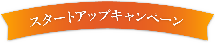 お得な限定特別価格